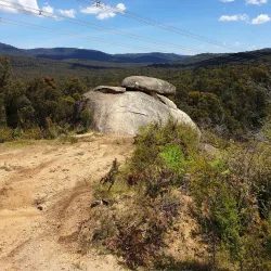 Bunyip State Park - Pakenham