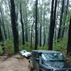 Bunyip State Park - Pakenham