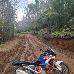 Bunyip State Park - Pakenham