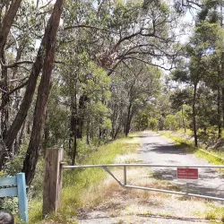Cardinia Creek Trail - Pakenham