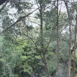 Cardinia Creek Trail - Pakenham