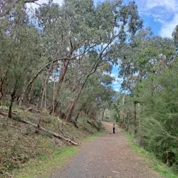Cardinia Creek Trail - Pakenham