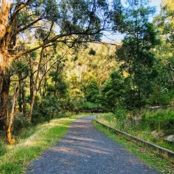 Cardinia Creek Trail - Pakenham