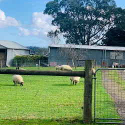 Cardinia Creek Trail - Pakenham