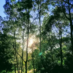 Cardinia Creek Trail - Pakenham