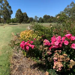 Pakenham Golf Club - Pakenham
