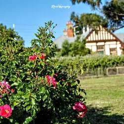 Pakenham Historical Society Museum - Pakenham