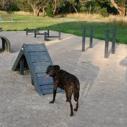 Toomuc Reserve - Pakenham