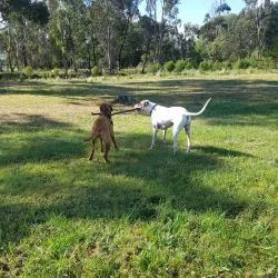 Toomuc Reserve - Pakenham