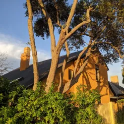 Elizabeth Farm - Parramatta