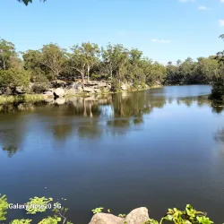 Lake Parramatta Reserve - Parramatta
