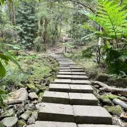 Lake Parramatta Reserve - Parramatta