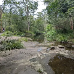 Lake Parramatta Reserve - Parramatta