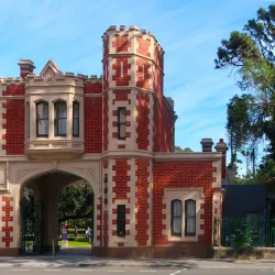 Parramatta Park - Parramatta