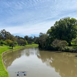 Parramatta Park - Parramatta