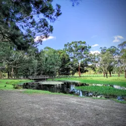 Parramatta Park - Parramatta