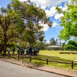 Parramatta Park - Parramatta