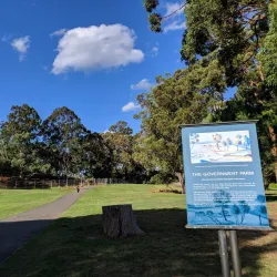 Parramatta Park - Parramatta