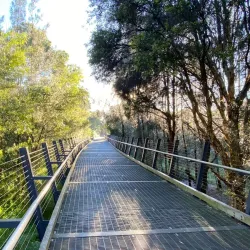 Parramatta Riverwalk - Parramatta