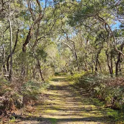 Penola Pioneer Park - Penola