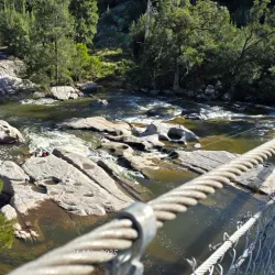 Coxs River Reserve - Penrith