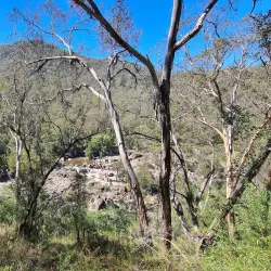 Coxs River Reserve - Penrith