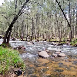 Coxs River Reserve - Penrith