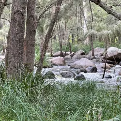 Coxs River Reserve - Penrith