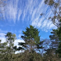 Heritage Park - Penrith