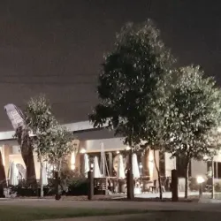 Nepean River - Penrith