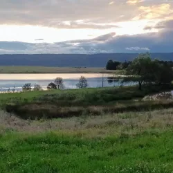 Nepean River - Penrith