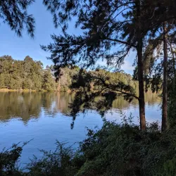 Penrith Regional Gallery & The Lewers Bequest - Penrith