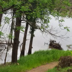 Penrith Regional Gallery & The Lewers Bequest - Penrith