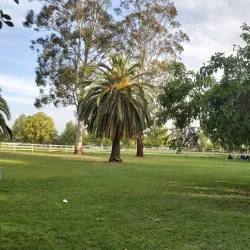 Tench Reserve - Penrith