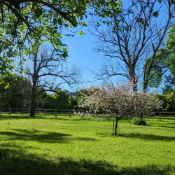 Tench Reserve - Penrith