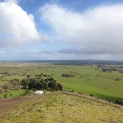 Mount Rouse - Penshurst