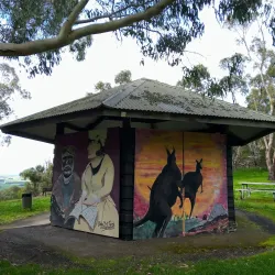 Mount Rouse - Penshurst