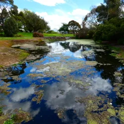 Penshurst Botanic Gardens - Penshurst