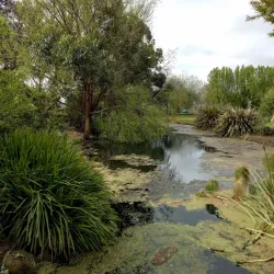 Penshurst Botanic Gardens - Penshurst