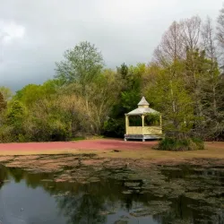 Penshurst Botanic Gardens - Penshurst