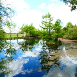 Penshurst Botanic Gardens - Penshurst