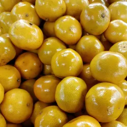 Penshurst Community Market - Penshurst