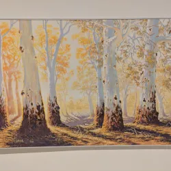 Art Gallery of Western Australia - Perth