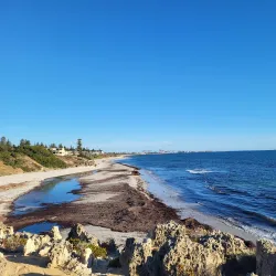 Cottesloe Beach - Perth