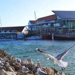 Hillarys Boat Harbour - Perth