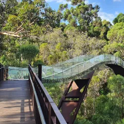 Kings Park and Botanic Garden - Perth
