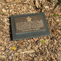Adelaide River War Cemetery - Pine Creek