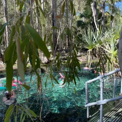 Bitter Springs - Pine Creek