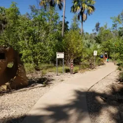 Bitter Springs - Pine Creek