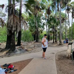 Bitter Springs - Pine Creek